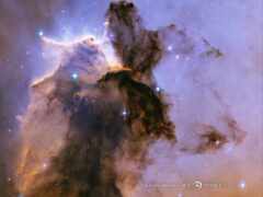 nebula, eagle No 17642 Разрешение 1280x960