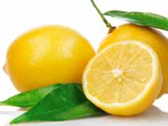 лимон, манана, плод