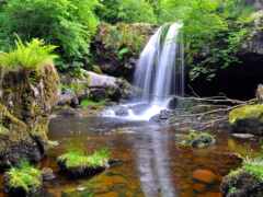 есть водопад, который течет вниз по холму в лесу