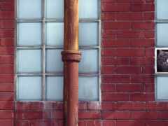 кошка, которая смотрит в окно