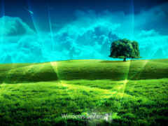 окна се7денические, дерево, трава и солнце