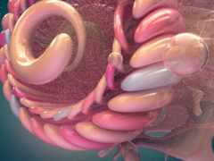 есть розовый и белый пончик с розовым и белым обледенением