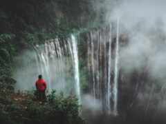 женщина-мужчина, стоящая перед водопадом посреди леса