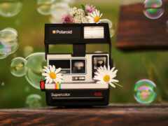 поляроидная камера с цветами сверху