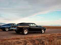 mustang, ford, shelby