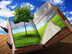 книга, открытая, дерево