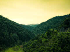 есть поезд, который идет по рельсам в горах