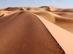 пустыня, дюн, ангола