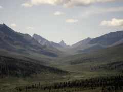 юкон, надгробный камень, парк