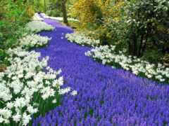 завершение пути с множеством различных цветов в нем