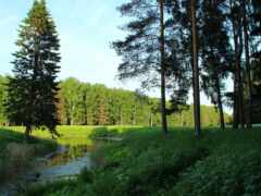 фото, парк, премия