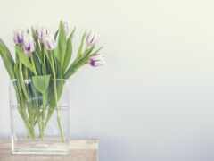 цветы, ваза, тюльпан