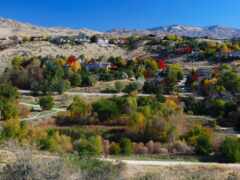 деревья меняют цвет осенью в сельской местности