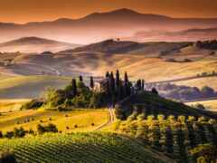 trang, tuscany
