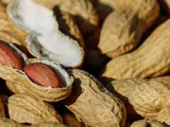 есть два арахиса в оболочке и один в оболочке