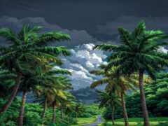 есть много пальм посреди дороги