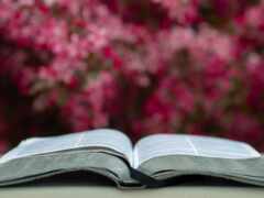 библия, слово, книга