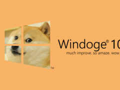 закрытие дожа, выглядывающего из окна