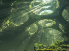 человек стоит в лодке в реке, окруженной деревьями