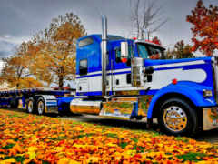 петрбилт, осень, грузовики