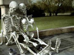 на скамейке сидят два скелета с голубем