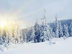 зима, солнце, восхождение No 162838 Разрешение 3000x2095