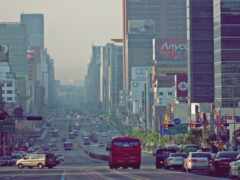 автомобили и автобусы едут по оживленной городской улице вечером