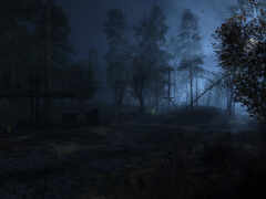 есть темный лес с небольшим домом и пожарным гидрантом