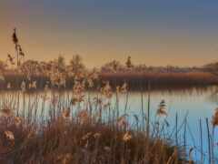 фото, камеш, пейзаж