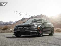 женщина мерседес c63 amg купе с птицей, летящей над головой