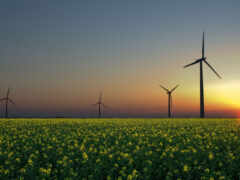 энергия, возобновляемые источники