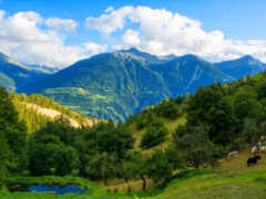 гора, джорджия, пейзаж