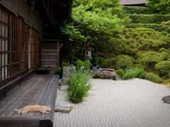 сад, японский, Япония