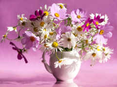 цветы, ваза, космея