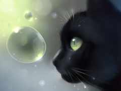 кот, черный, пузырчатый