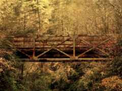 лес, мост, ржавый