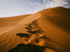 песок, пустыня