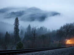 туман, поезд, туман