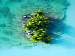 вид с воздуха на тропический остров с пальмами и скалами