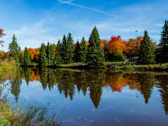 деревья превращают цвета на заднем плане и озеро на переднем плане