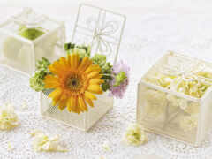 есть две маленькие белые коробочки с цветами в них