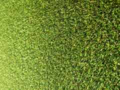 трава, стадион, зелёный