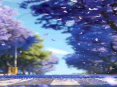 фиолетовые деревья на заднем плане с белыми лепестками, падающими вниз