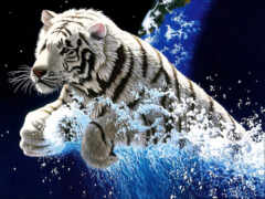 тигр, белый, арт