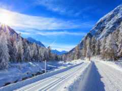 снежная дорога с деревьями и снегом с обеих сторон и голубым небом