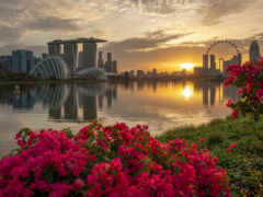 город, горизонт, singapore