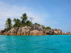 есть небольшой остров с несколькими пальмами на нем