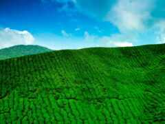 вид на зеленый холм с голубым небом и облаками