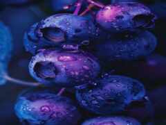 закрытие кучки черники с каплями воды