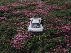 женский автомобиль в поле цветов с небесным фоном